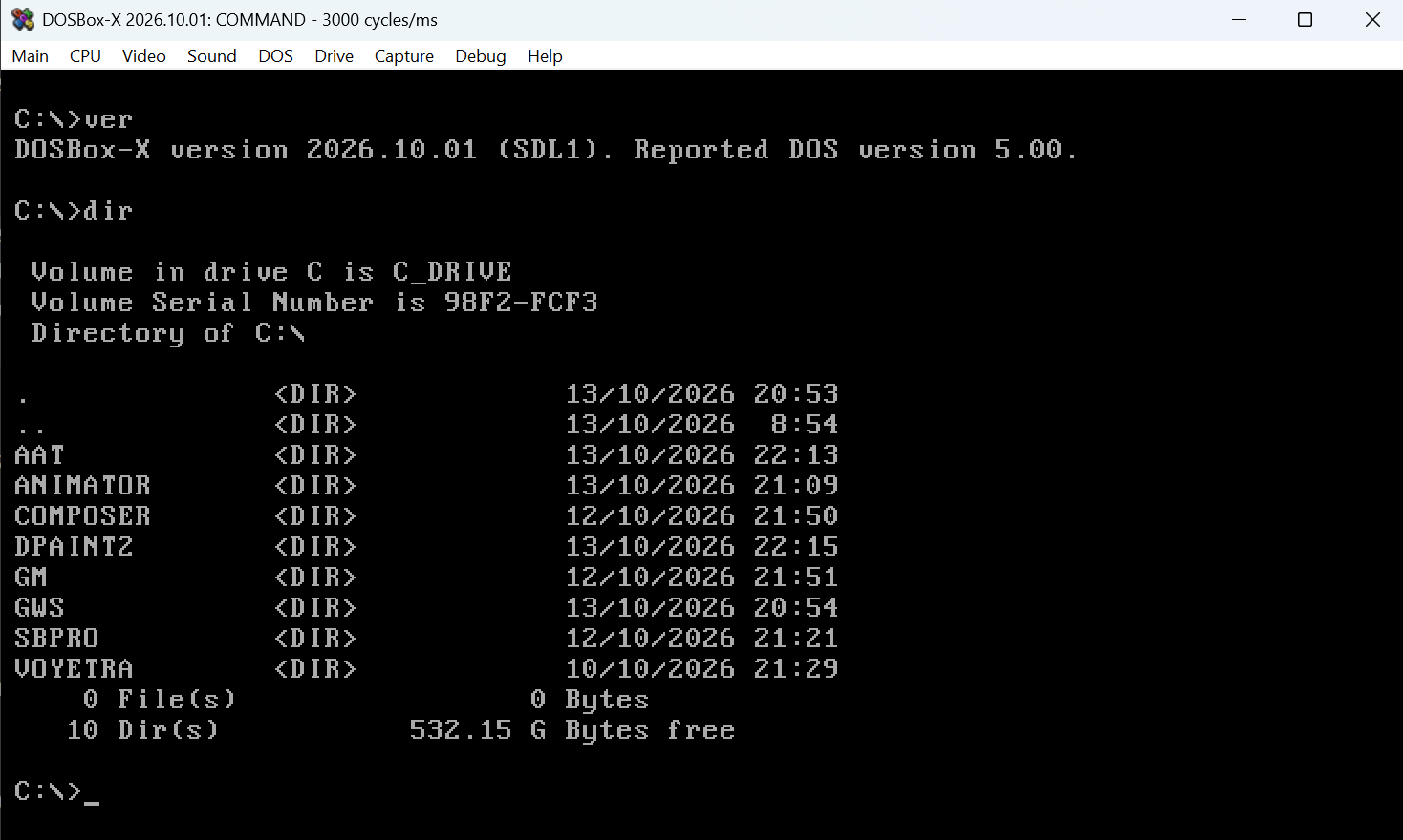 Screenshot of DOSBox-X